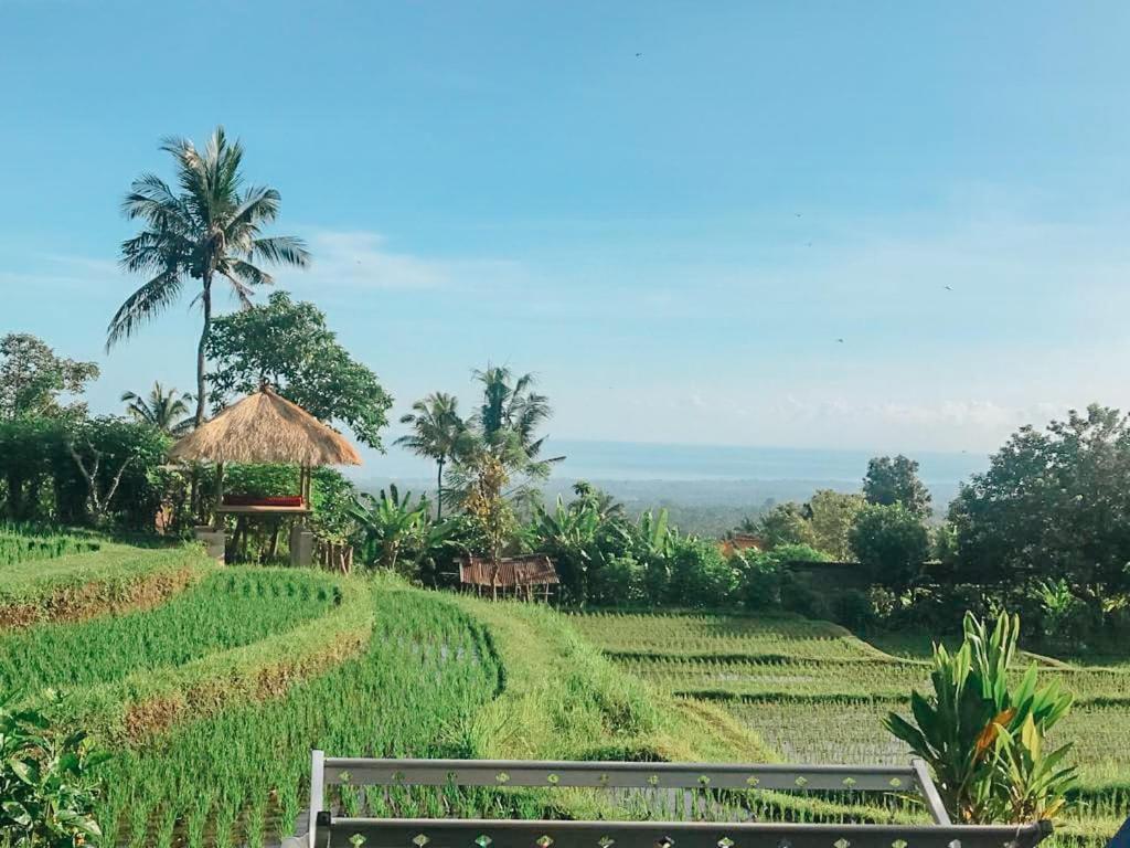 Pondok Apsari 2 Сингараджа Экстерьер фото