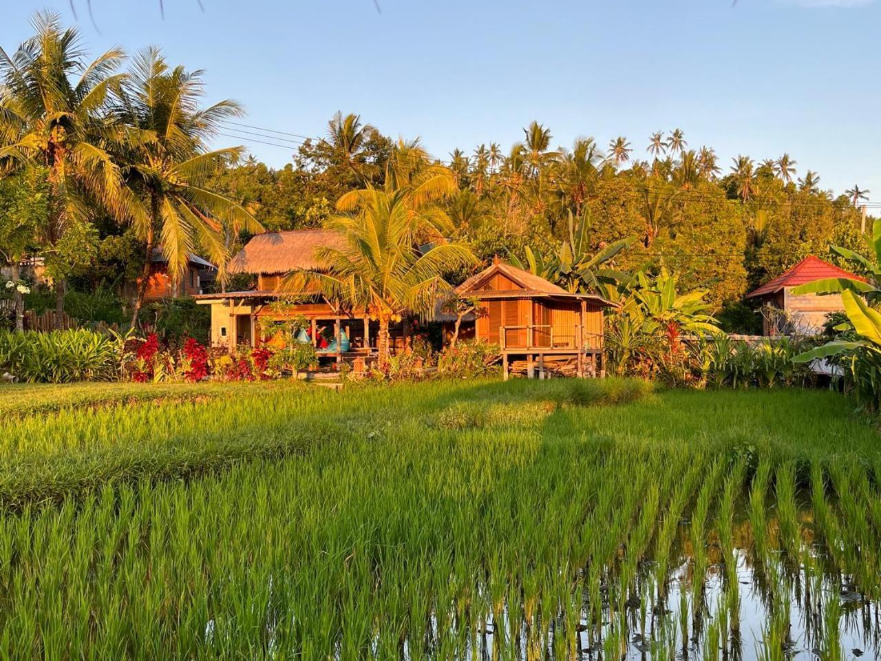 Pondok Apsari 2 Сингараджа Экстерьер фото