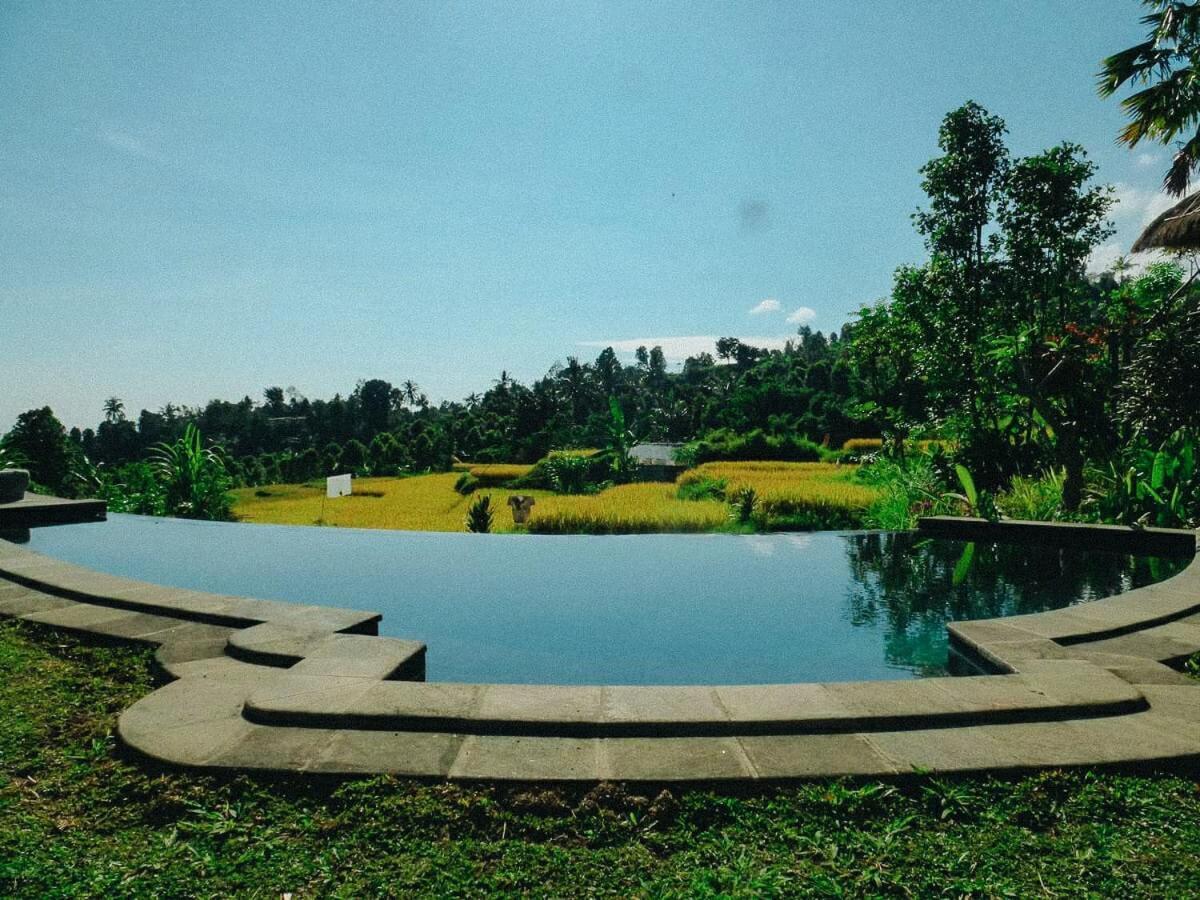 Pondok Apsari 2 Сингараджа Экстерьер фото